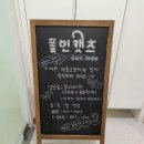 폴인캣츠 이미지