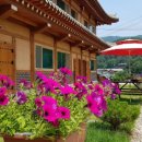 힐링나라 이미지