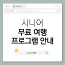 (무료 교육)도전 나도 맛집 블로거 ( 2024년 지역기반 평생학습 활성화 지원 사업 ) | 4. 시니어 무료 여행 프로그램 안내 (2025년 최신)