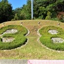 38대교 공원 이미지