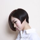 아르더헤어 이미지