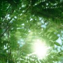 도마태평양약국 이미지