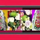 장안화원 이미지