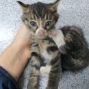 광산구-119 이미지