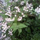 화양읍사무소 이미지