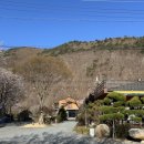 마음애고향 이미지