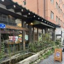 신기루 | [대구] 신비롭고 특별한 소품샵을 찾는다면 ? “신기루잡화점“ 내돈내산 후기✨