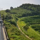 팔광카센터 이미지