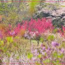 원미공원 이미지