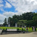 기발한식당 이미지