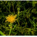 부영공원 이미지