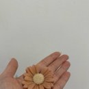 데일리로(DailyRo) 이미지