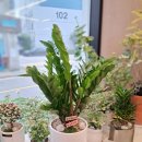 원광여자중학교 이미지