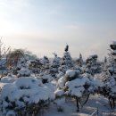 고요정원 이미지