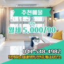 희망공인중개사사무소 | 탕정면 단독 59.0㎡/59.0㎡ 월세 -탕정하늘채새희망공인중개사사무소