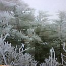 함동용 Daum카페