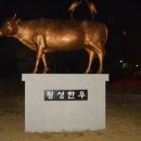 가족한우