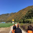 정대농장 이미지