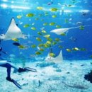 아쿠아플라넷 제주 이미지