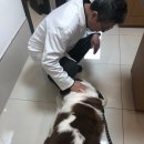 동울산동물병원 이미지