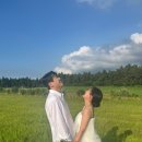 730 | W8. 제주 웨딩스냅 730.zip 촬영 후기, 한 여름 제주도