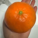 예찬농장 이미지