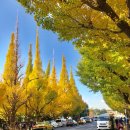 도봉-쌍문-도봉-1544 이미지