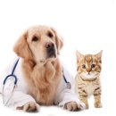 우리동생 동물병원 이미지