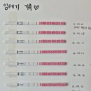 임신 더블링 테스트기 진해지는 시기 아기집 언제 보일까? 기다렸던 후기