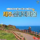 신풍리마을 네이버블로그