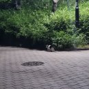살구골공원 | 취향 찾기