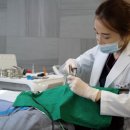 정은치과의원 이미지