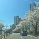 (주)코우 | 후쿠오카 스타일 부타동과 담백한 쇼유 베이스 날치&amp;닭 육수 일본식 라멘 : 라멘 코우준 내돈내산 솔직후기