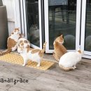마시안 끝집