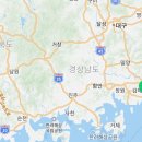 부산고양이분양제나캣 사상점 이미지