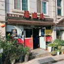 석양 속 생명의 날 이미지