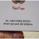 타이거시가