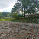 용성태양광발전소 네이버블로그
