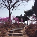 태화한의원 이미지