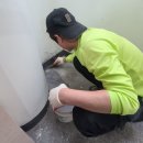 악쓰는 하마 이미지