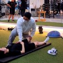 하이바디짐 이미지