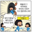 너무더워서 날아가고싶다