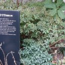 미당서정주의 집 이미지