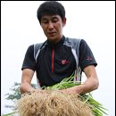 형제 농장5 이미지