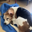 청해약국 이미지