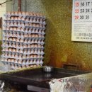 진순자김밥 이미지