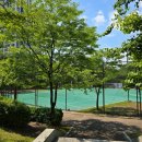 손바닥공원 농구장 이미지