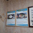 아우라지순두부 이미지