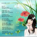 수노아 - 중구 명동8나길 18 | 수노아