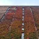 서소문로11길 이미지